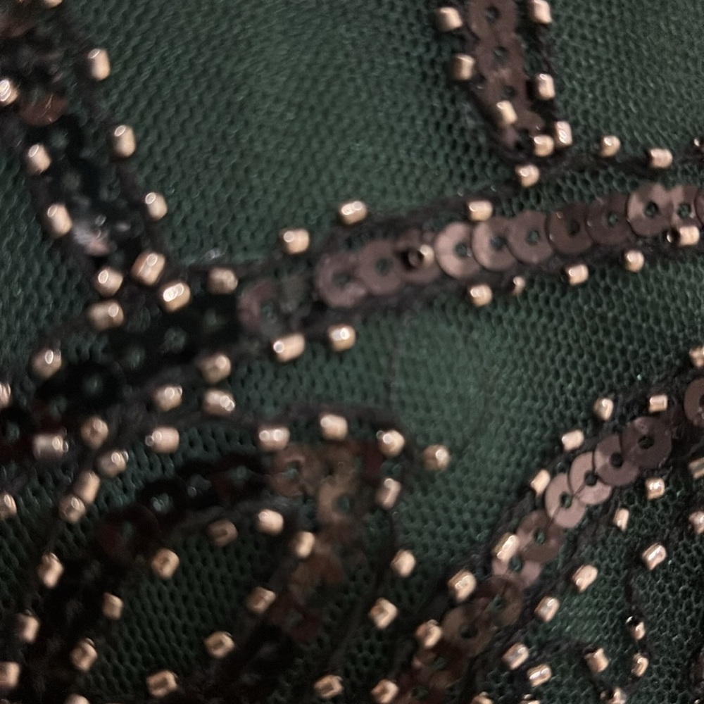 Beautiful Roaring 20’s Flapper Gown - Picture 8 of 8